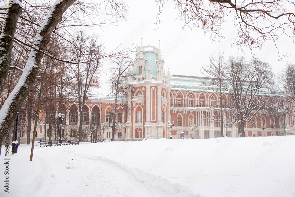 Museum Reserve Tsaritsyno in the city in winter during a snowfall. The business card of Moscow. The Grand Palace. Travel and tourism in Russia. Museum Reserve Tsaritsyno in the city in winter during a snowfall. The business card of Moscow. The Grand Palace. Travel and tourism in Russia.