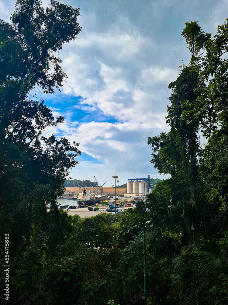 Sao francisco do sul port with ships, silos, hangar in the forest Sao francisco do sul port with ships, silos, hangar in the forest