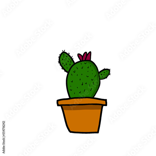  green cactus in flowerpot