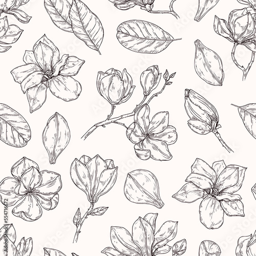 Vector seamless pattern with magnolia flowers. Botanical sketch background in vintage style.
