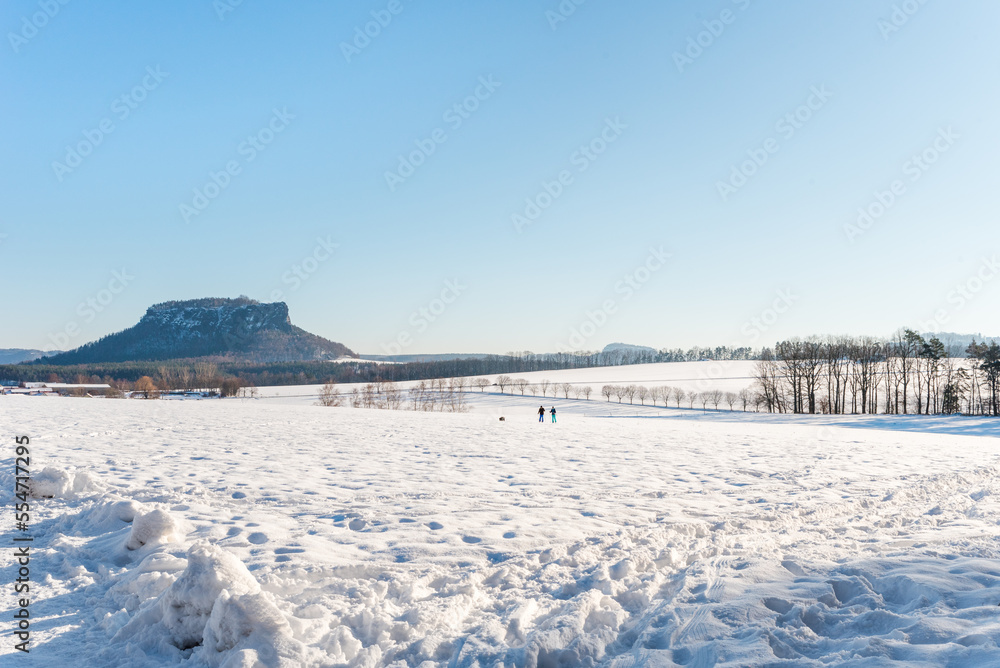 sunny winter field in Saxonian Switzerland