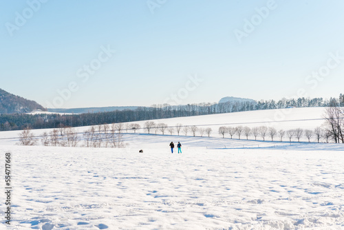 two people hiking on sunny winter field in Saxonian Switzerland