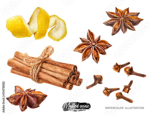 Watercolor illustration of Mulled wine ingredients, recipe set isolated on white background. Hand drawn cinnamon, anise, cloves, lemon peel spices kithen set. photo