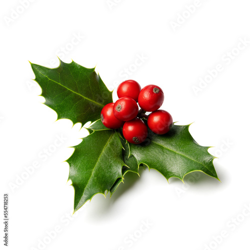 Christmas Holly With Red Berries.