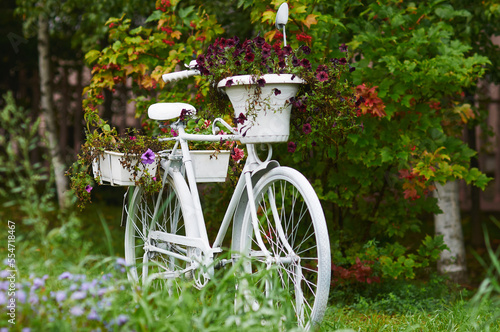 White bicycle with flowers in the garden. Vintage decoration. Landscaping. Part of the landscaping of the summer park.