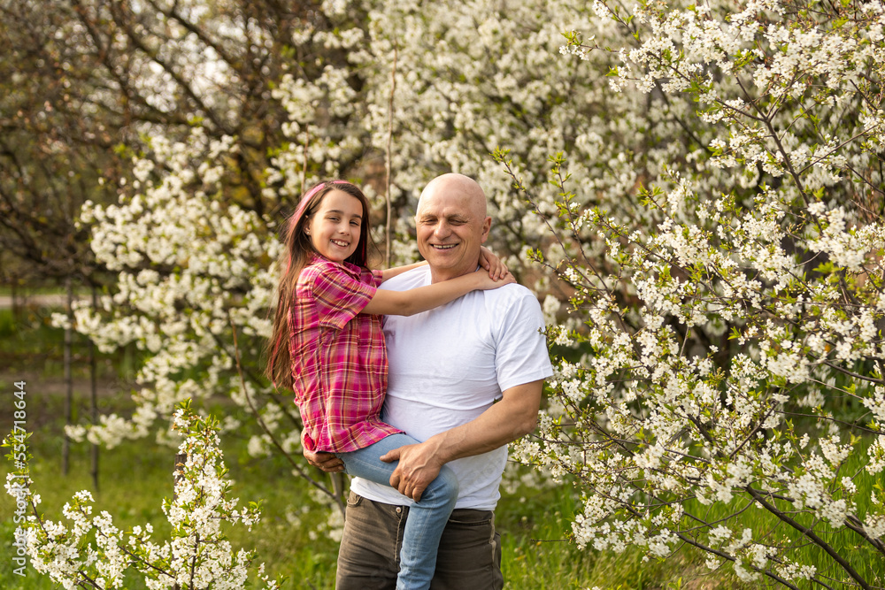 happy granddaughter hugging her smiling grandfather on green lawn happy granddaughter hugging her smiling grandfather on green lawn
