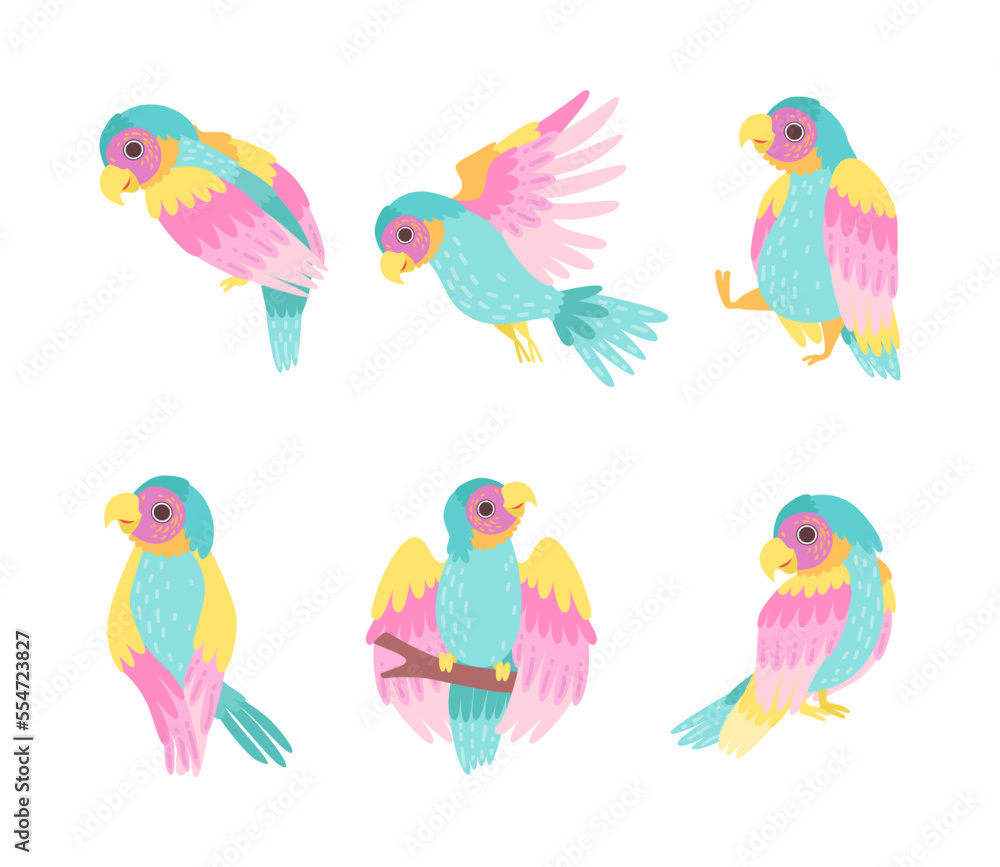 Obraz premium Tropical Colorful Parrot with Bright Feathers and Beak Vector Set