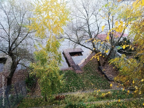 house in the woods