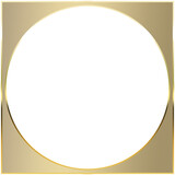 gold circle frame