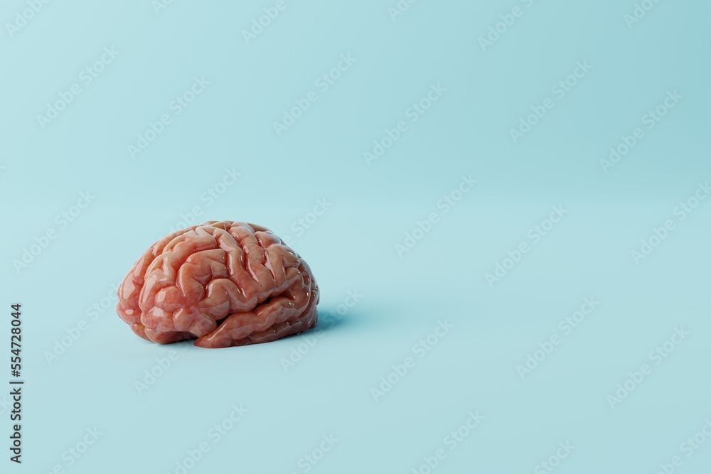 Brain on a blue background. Medical concept, brain diseases, mental problems. Operations and treatment of the brain. 3d rendering, 3d illustration. Brain on a blue background. Medical concept, brain diseases, mental problems. Operations and treatment of the brain. 3d rendering, 3d illustration.