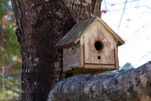 Small brown birdhouse on tree branch