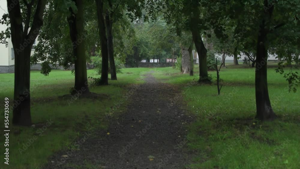 Dark alley path park dark day daylight danger dangerous town nature Dark alley path park dark day daylight danger dangerous town nature