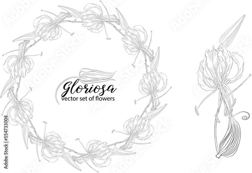 vector set of flowers and beads glorasa Gloriosa