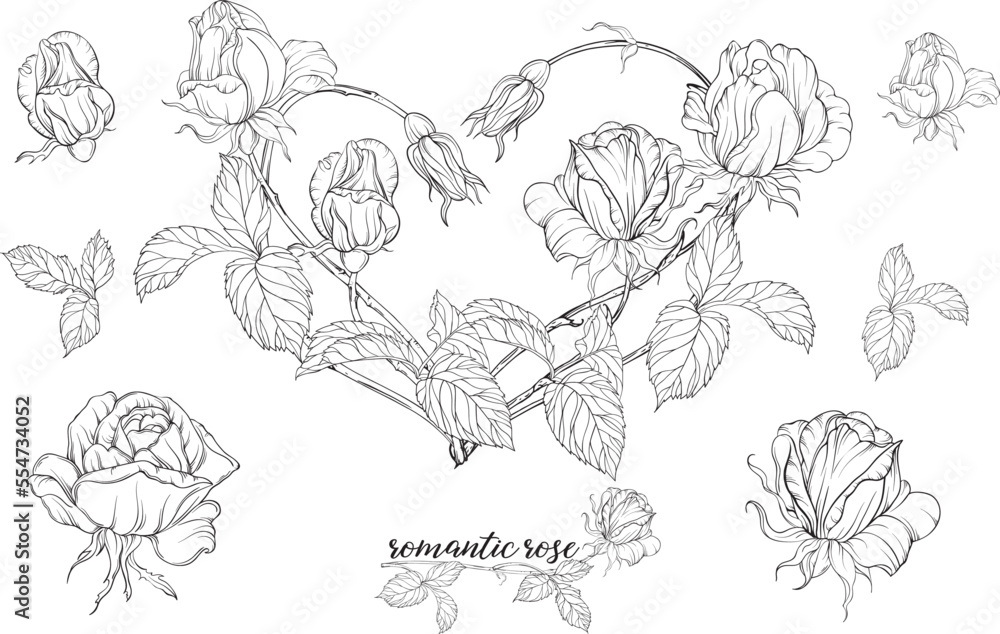 Graphic roses. Floral composition. Roses. Vector colors. Heart of roses. 