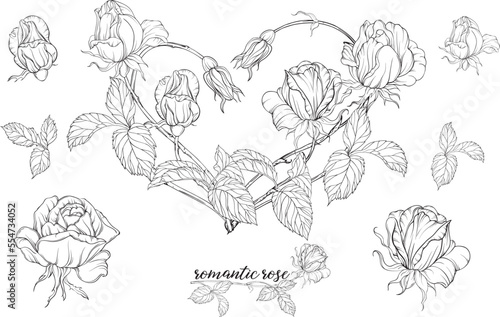 Graphic roses. Floral composition. Roses. Vector colors. Heart of roses. 