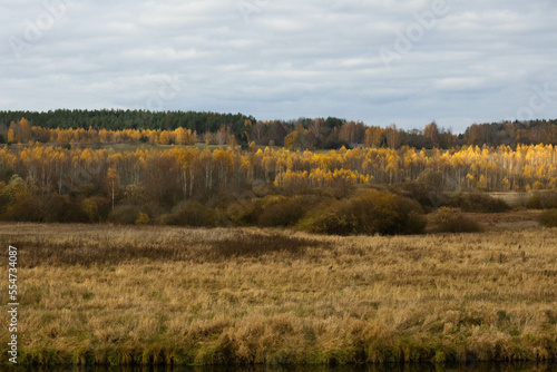 Autumn contryside landscape in the fields
