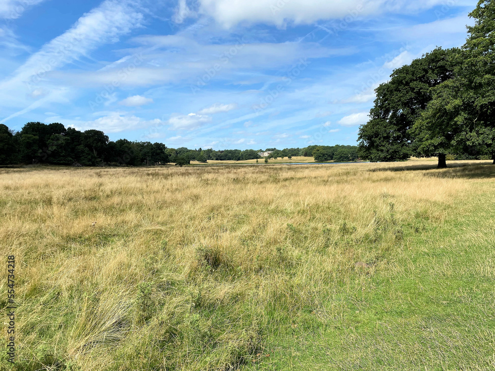 A view of the Cheshire Countryside near Knutsford
