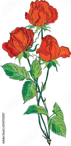 Bright red roses. Flower arrangement. Roses. Vector red roses. 