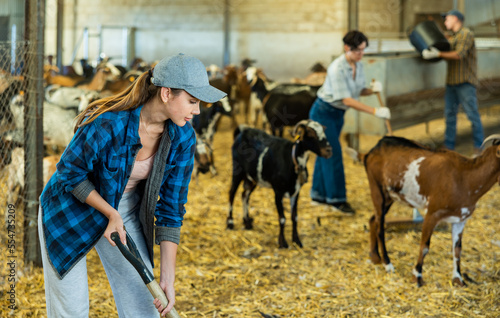 Portrait of active young European female employee working with hay and straw in barn on goat farm