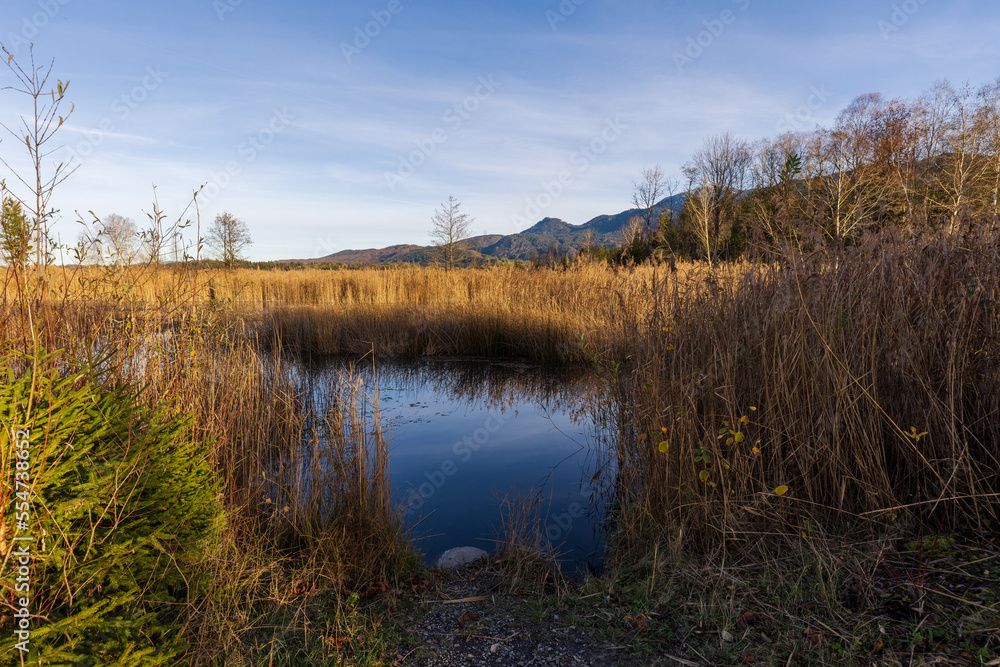 Blue pond in the Murnauer Moos, Bavaria