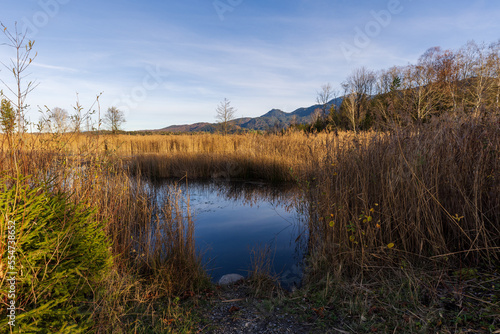 Blue pond in the Murnauer Moos, Bavaria photo