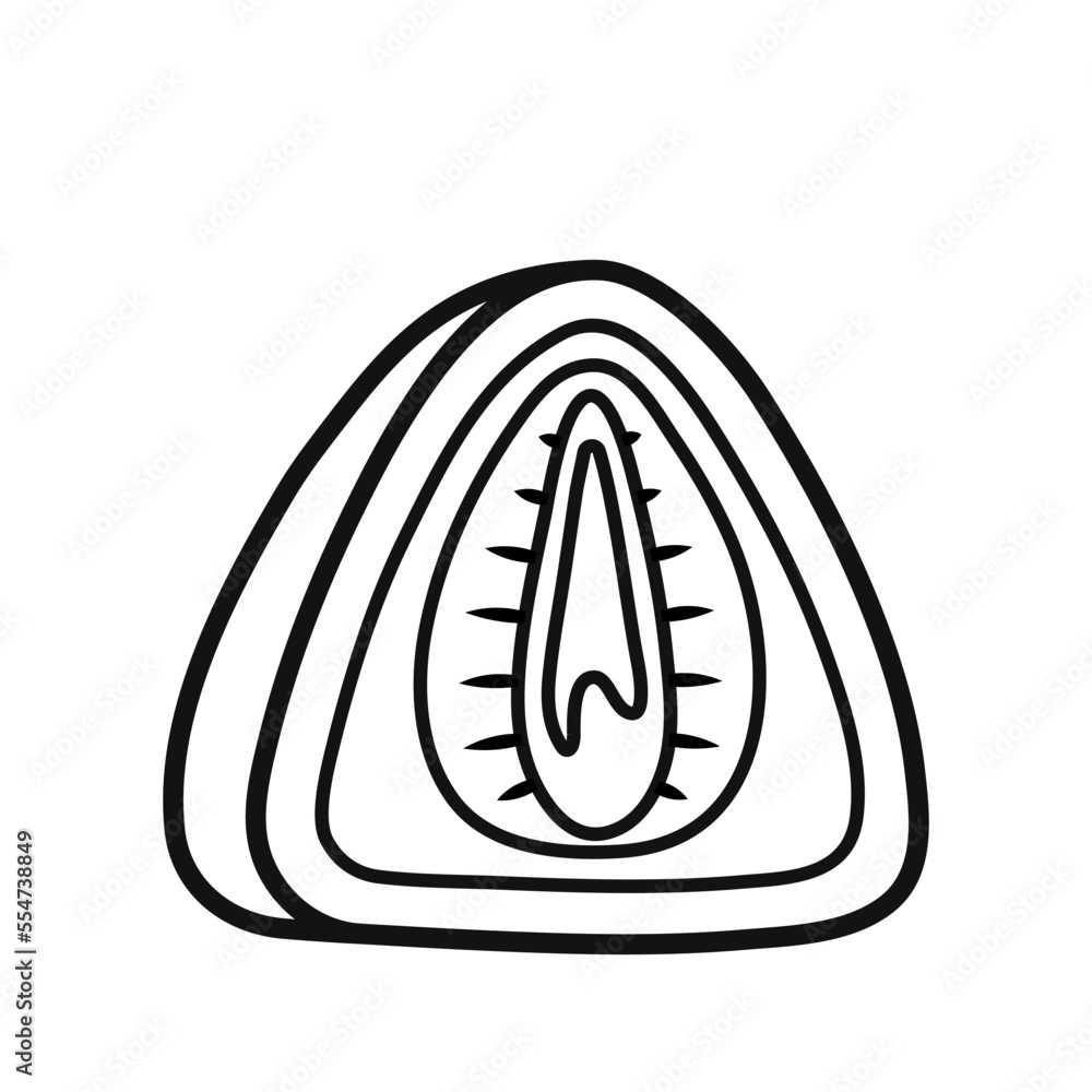 Daifuku. Soft mochi with sweet filling and strawberry. Japanese rice dessert. Hand drawn asian sweet food element icon. Isolated vector illustration in doodle line style. Daifuku. Soft mochi with sweet filling and strawberry. Japanese rice dessert. Hand drawn asian sweet food element icon. Isolated vector illustration in doodle line style.