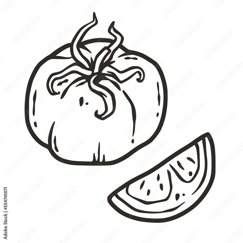 Tomato vector for design of logo or emblem. Vegetable ingredient for food store or market. Organic slice of tomato for label, banner or poster Tomato vector for design of logo or emblem. Vegetable ingredient for food store or market. Organic slice of tomato for label, banner or poster