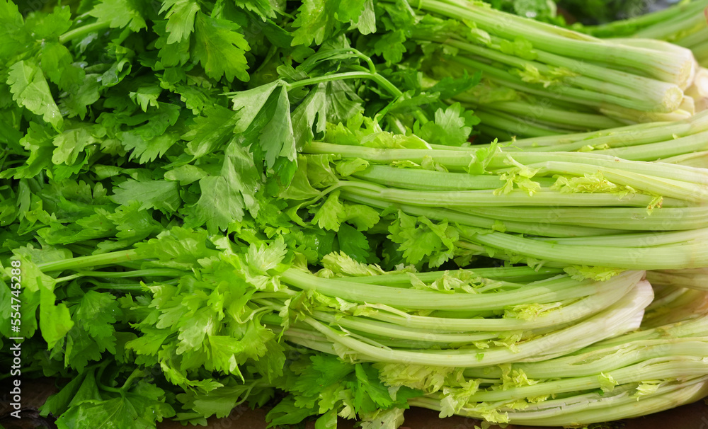 Green fresh celery in pile in the market Green fresh celery in pile in the market