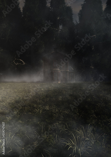 creepy old fantasy surreal house in a rural natural environment with fog, trees, sunlight and soft focus background