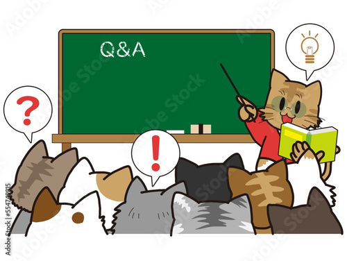 動物　質問する猫たち