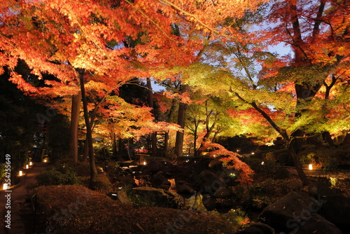 紅葉ライトアップ、