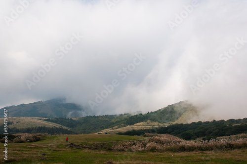 Qingtiangang Grassland in Yangmingshan National Park Taipei, Taiwan