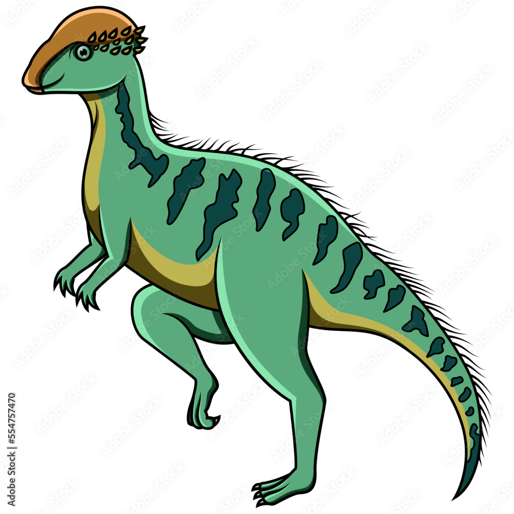 Cartoon Stegoceras isolated on white background Cartoon Stegoceras isolated on white background