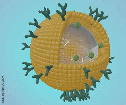 Phospholipid coated nanobubble for drug delivery 3d rendering  photo