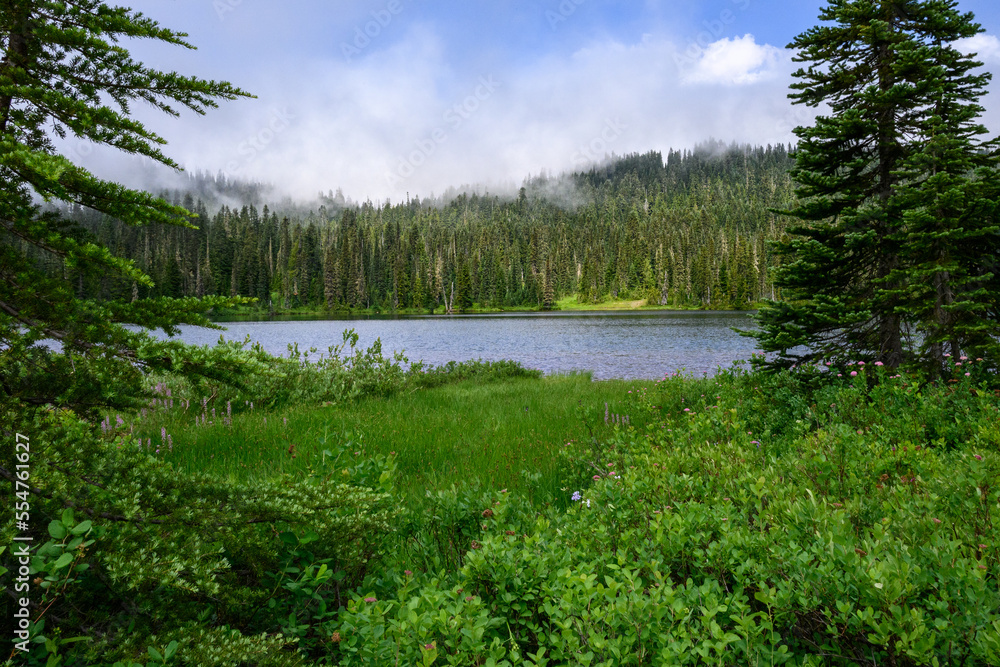 Scenic landscape of Reflection Lakes and surrounding marsh and forest, Mt. Rainier National Park
