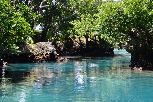 Tropical island natural swimming pool in Vanuatu