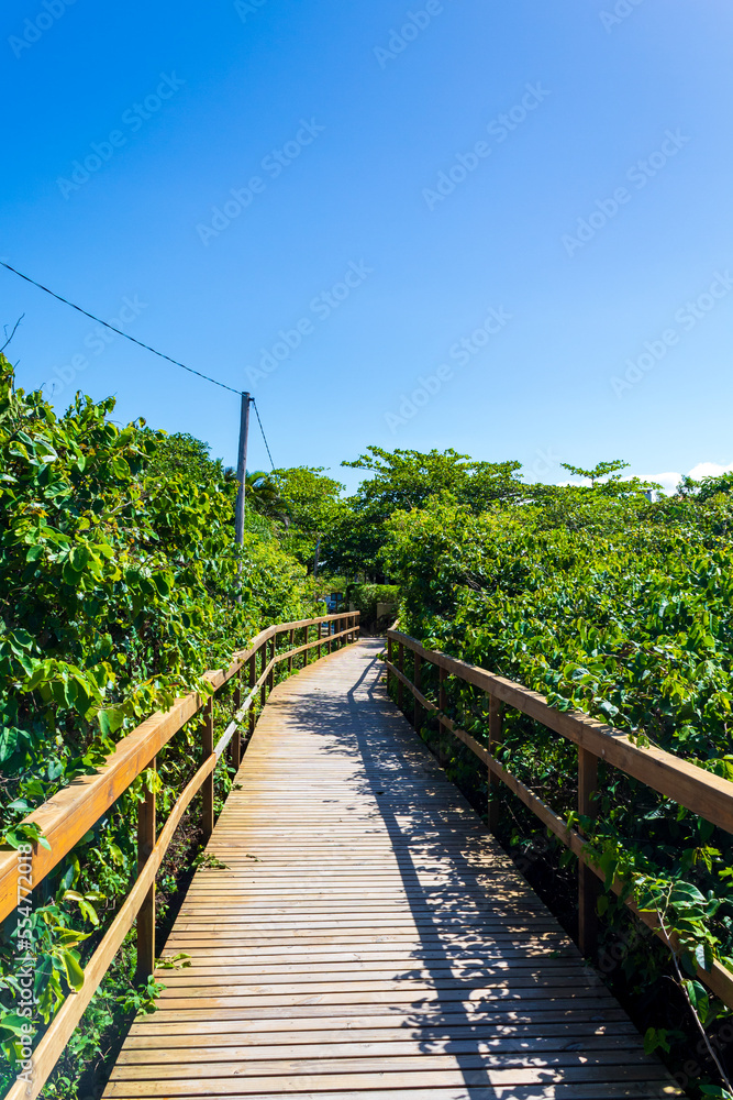   entrada de madeira da praia de jurere florianópolis santa catarina brasil jurerê internacional 