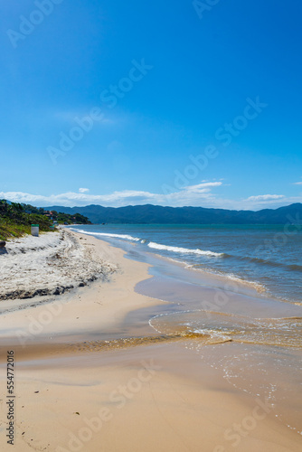 Wallpaper Mural  praia de jurere florianópolis santa catarina brasil jurerê internacional  Torontodigital.ca