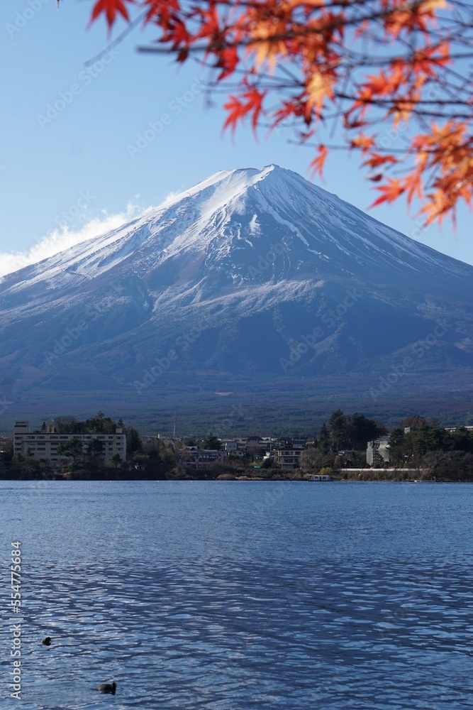 赤く紅葉した紅葉と雪をかぶった富士山と青い空、周辺の森と河口湖の湖