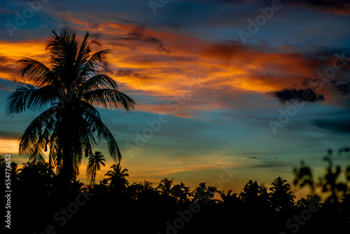 Fototapeta Naklejka Na Ścianę i Meble -  tropical sunset with trees