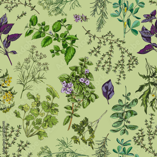 Seamless pattern with hand drawn various herbs sketch style, vector illustration