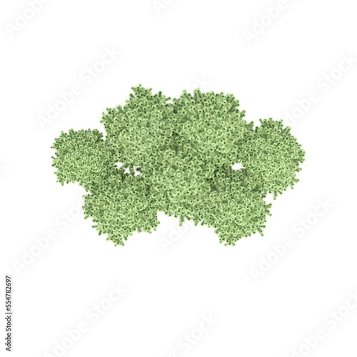 group of trees, top view, isolated on white background, 3D illustration, cg render 