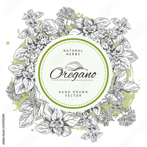 Oregano herb banner or label, hand drawn sketch vector illustration isolated on white background.