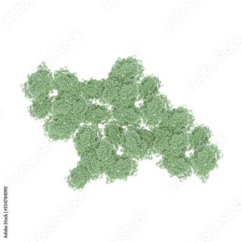 group of trees, top view, isolate on a transparent background, 3d illustration 