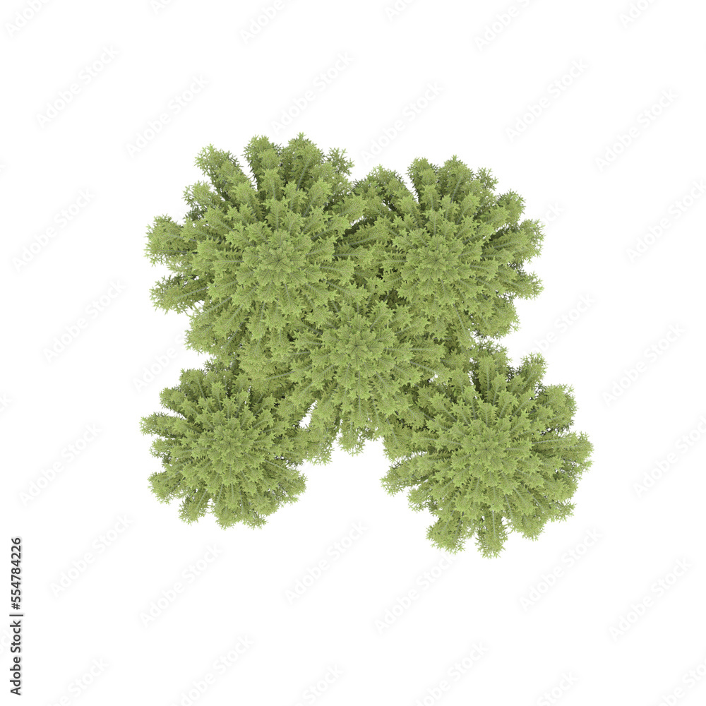 Obraz premium group of trees, top view, isolate on a transparent background, 3d illustration 