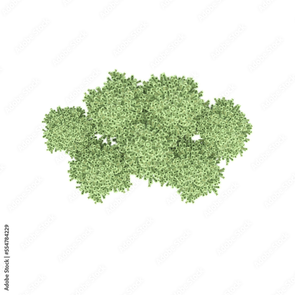 group of trees, top view, isolate on a transparent background, 3d illustration
group of trees, top view, isolate on a transparent background, 3d illustration