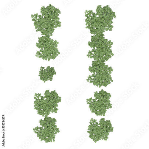 group of trees, top view, isolate on a transparent background, 3d illustration  © vadim_fl