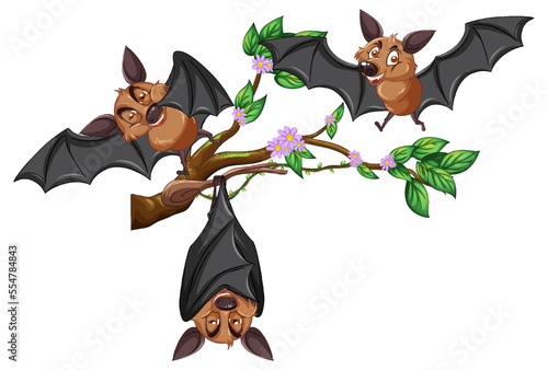 Bats on a tree branch