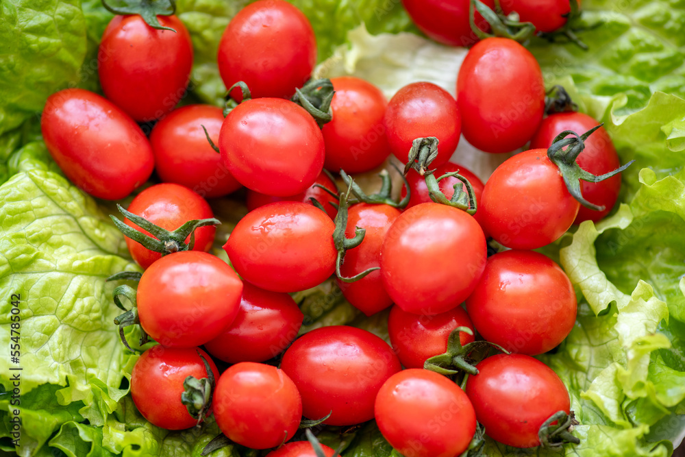 Close up on background branch red tomatoes on a fresh salad plate Close up on background branch red tomatoes on a fresh salad plate
