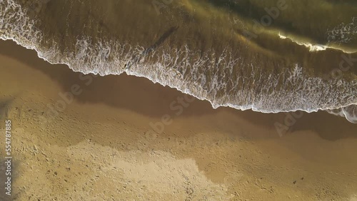 Aerial top view shot of surfer leaving water after surfing in the ocean during golden sunset - La Pedrera Beach,Uruguay photo